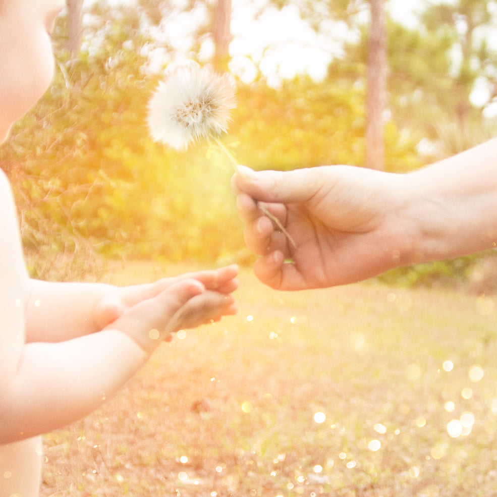 Wish - A Collaboration with GreenPath Baby, Abby's Lane and Lighthouse Kids Company