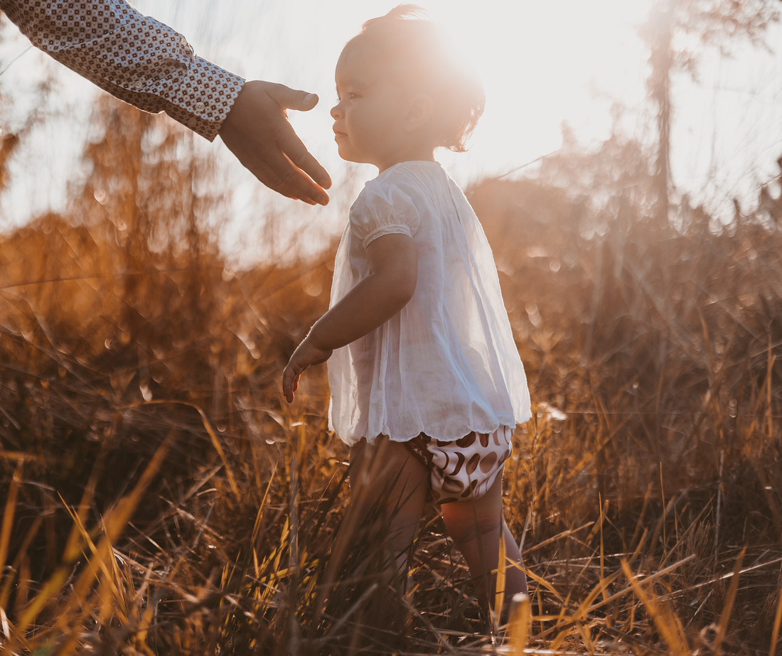 Lighthouse Kids Company Cloth Diaper Covers AI2 All In Two Cloth Diapers