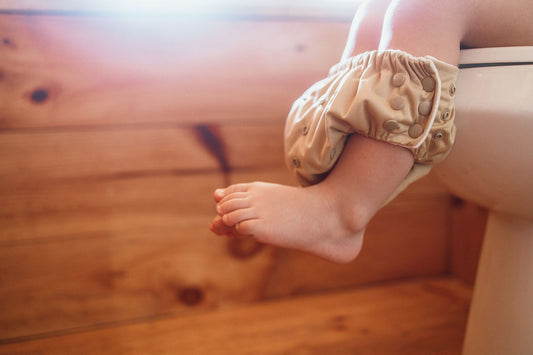 Reusable Potty Training Pants | Cloth | Washable