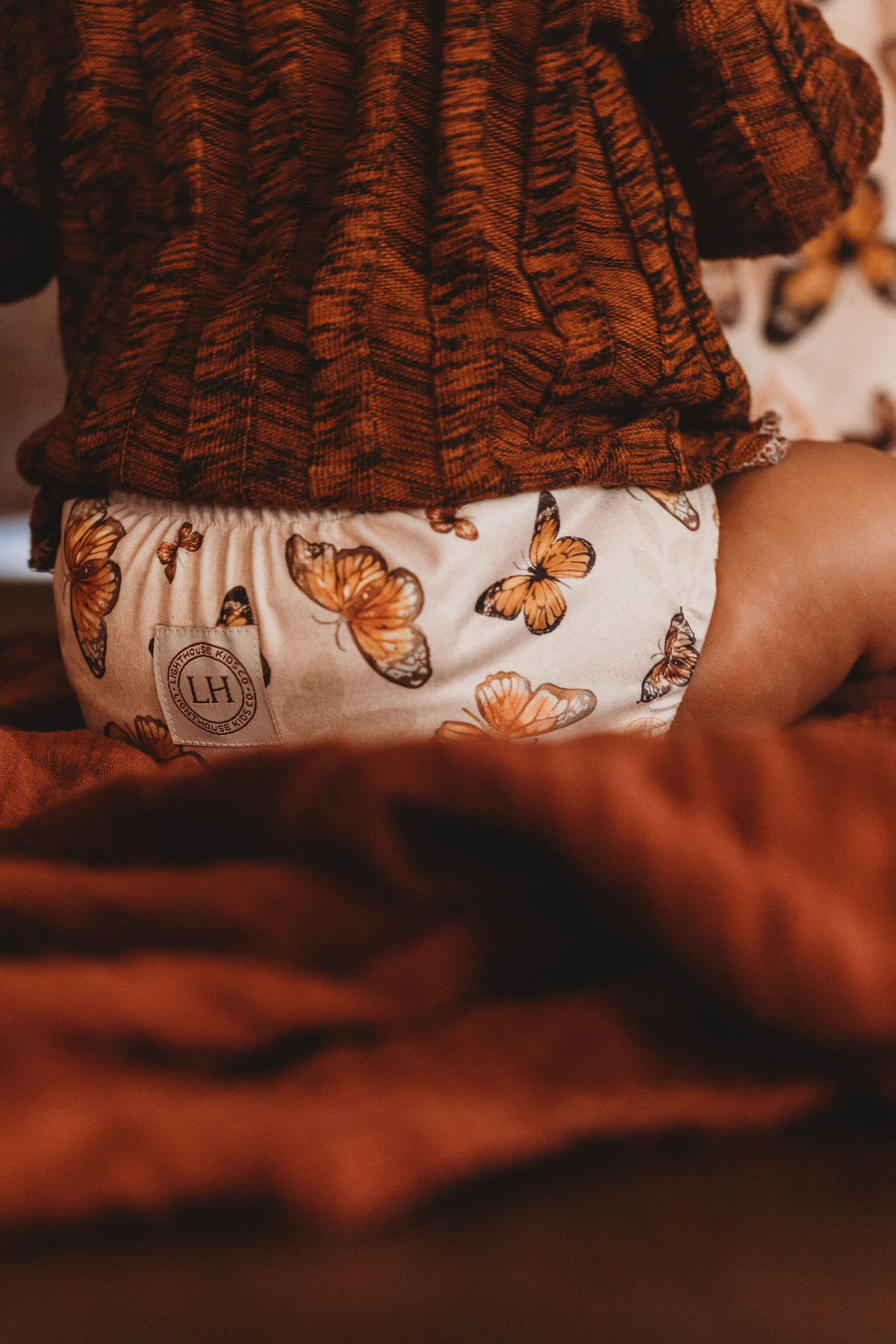 Pocket Cloth Diaper - Old Style - Butterfly