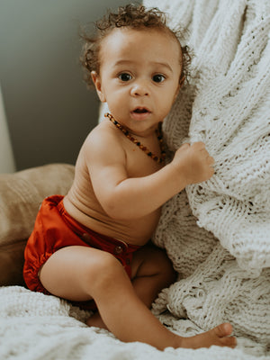 Red Cloth Diaper All-In-One