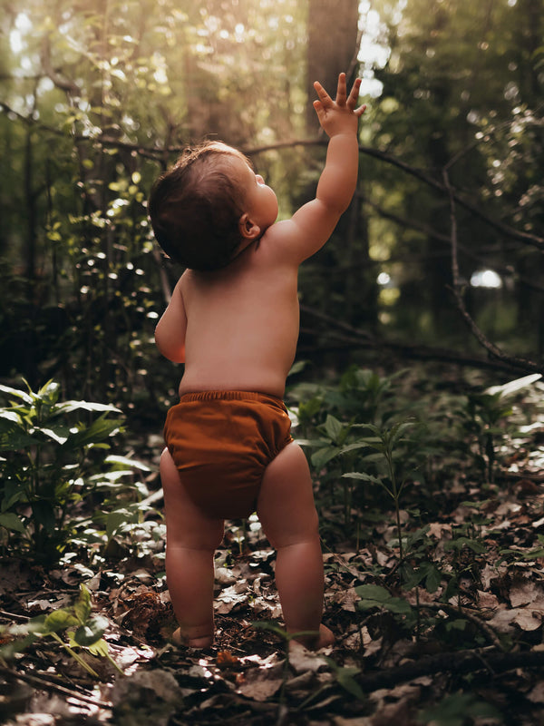 All-In-One cloth Diaper AIO Lighthouse Kids Company Woodland Brown